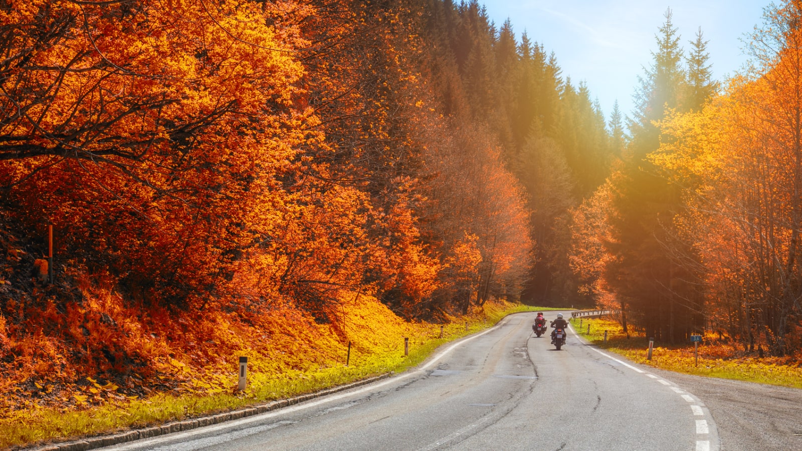 fall joyriding two motorcycles riding through fall foliage
